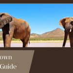 Scavenger Hunt with GrapevineQuest