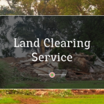 Dog Breeds in Estonia: A Preference for Big or Small?